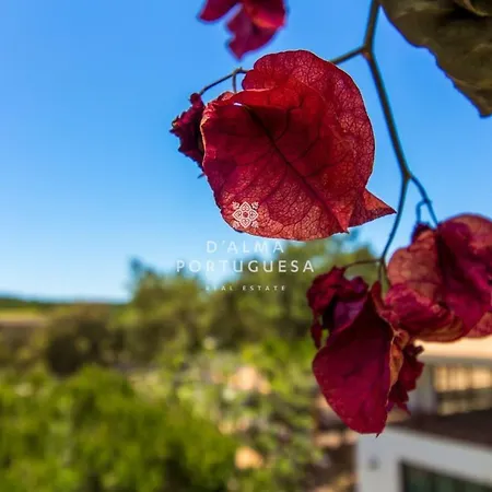 D'alma Falesia - By Dalma Portuguesa Appartement *